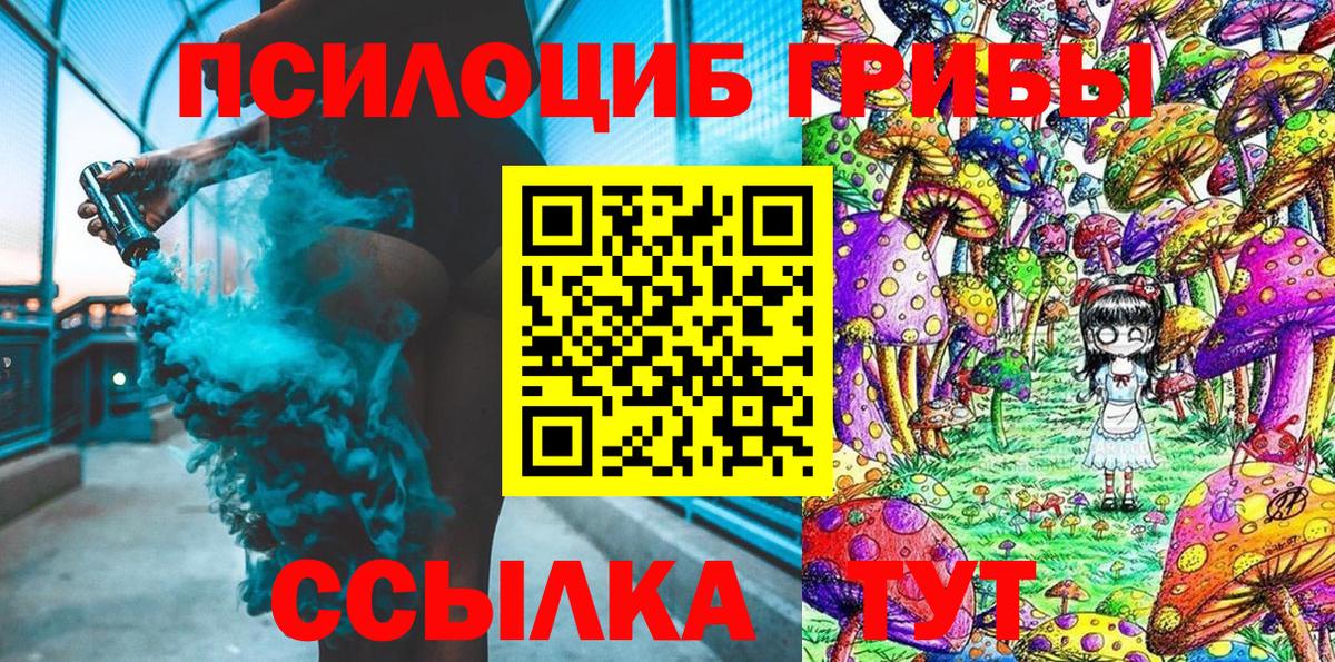 Галлюциногенные грибы Psilocybe Глазов